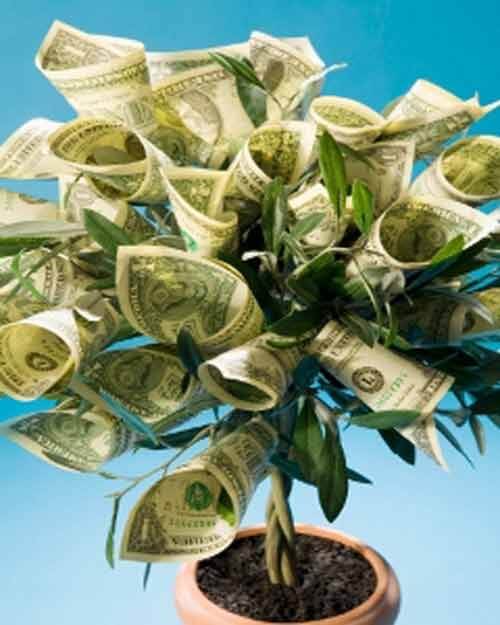 تزیین پول به شکل یک درخت