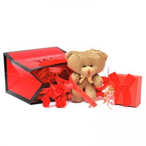 ست هدیه عروسک طرح خرس مدل روز عشق کد 14 FEB